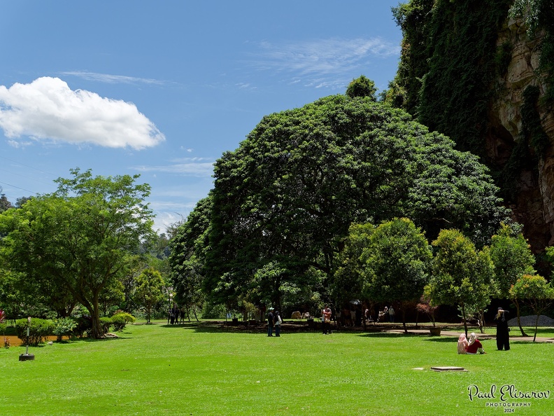 P1004338.jpg