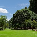 P1004338