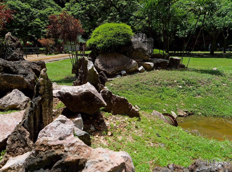 P1004340.jpg