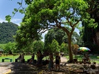 P1004343