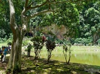 P1004353