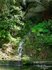 P1004374