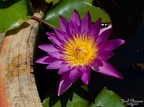 P1004378