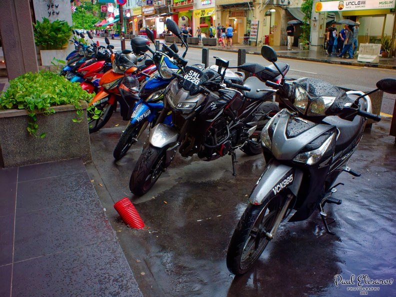 P1100032.jpg