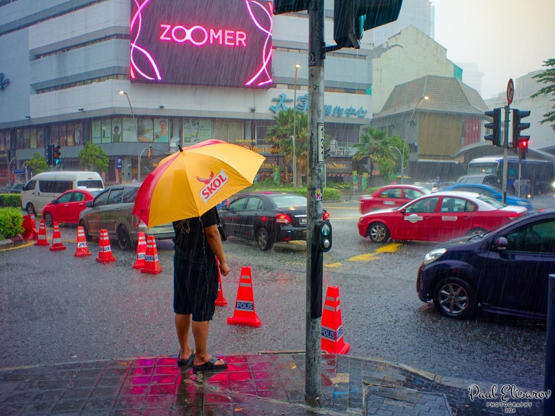 P1100067.jpg
