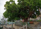 P1005726