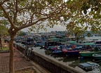 P1005773