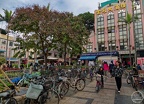 P1005802