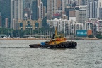 P1005946