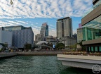 P1005971