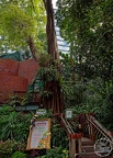 P1006335
