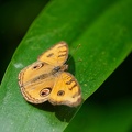 P1007522