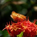 P1007570