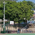 P1007384