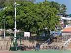 P1007384