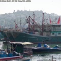 P1007392