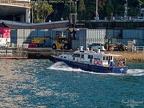 P1007420
