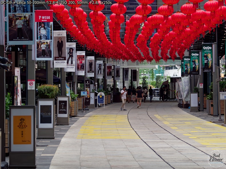 P1007730.jpg