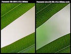 Panasonic 50-200mm upscale vs Panasonic 100-300mm