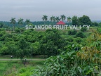 Sekinchan, Selangor Fruit Valley