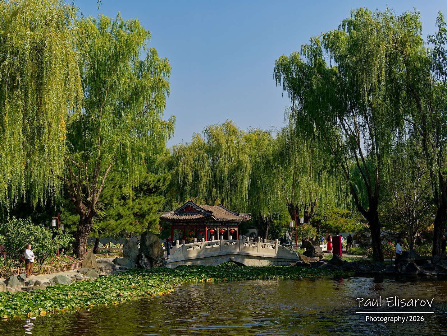 DaGuanYuan: The Beijing Park That Was Built for Your Camera