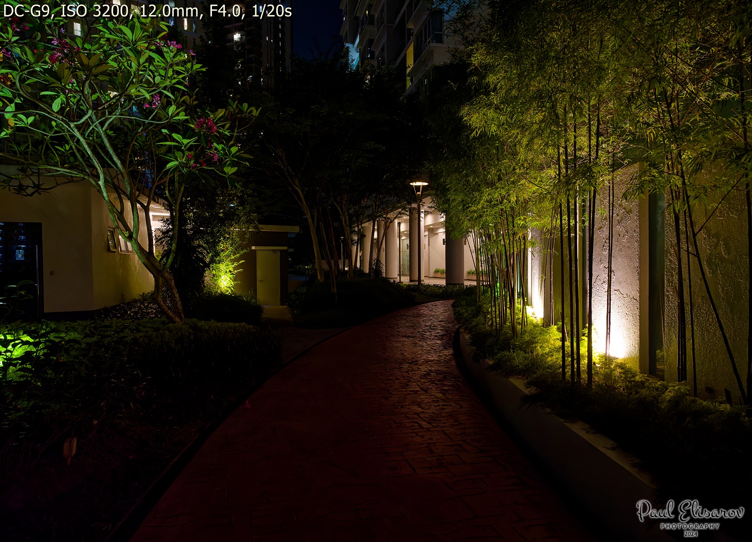 Micro Four Thirds vs. Full Frame: Thoughts and Direct Image Comparisons