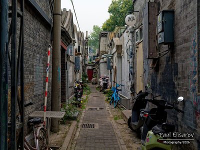 Photo 46