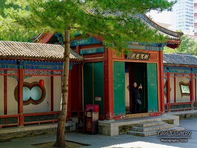 Photo 47
