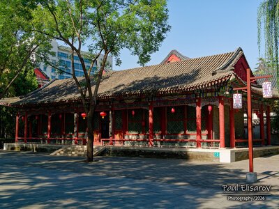 Photo 48