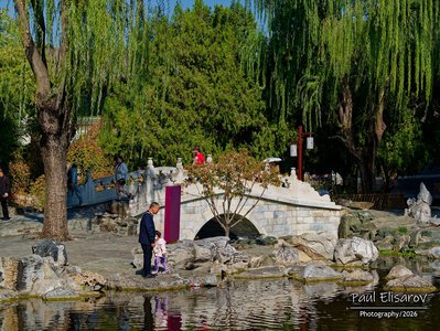 Photo 56