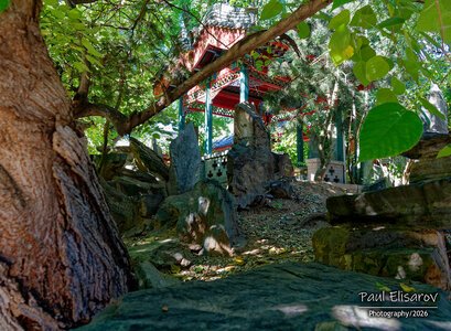 Photo 40