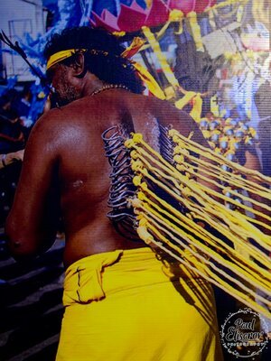 Photo 44