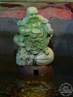 Photo 48