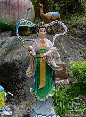 Photo 19
