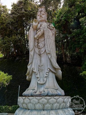 Photo 26