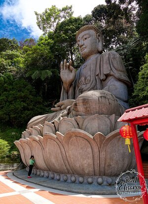 Photo 41
