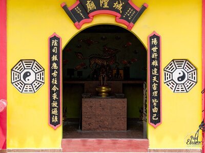 Photo 39