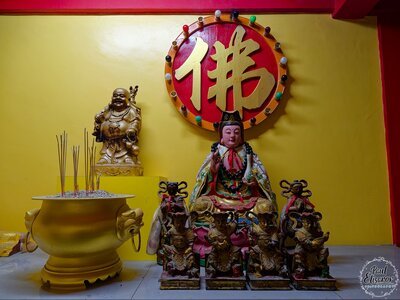 Photo 42